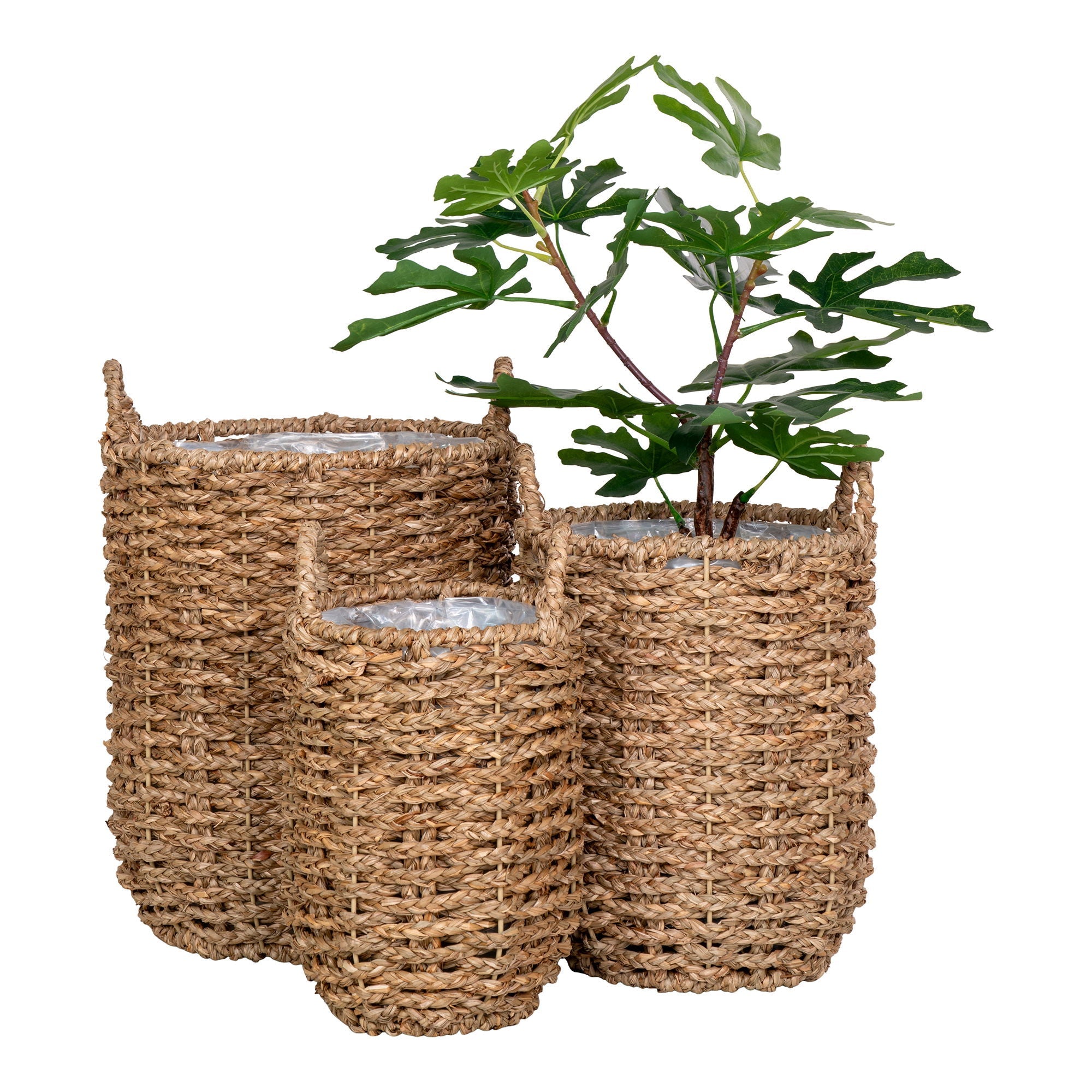 Hue Baskets