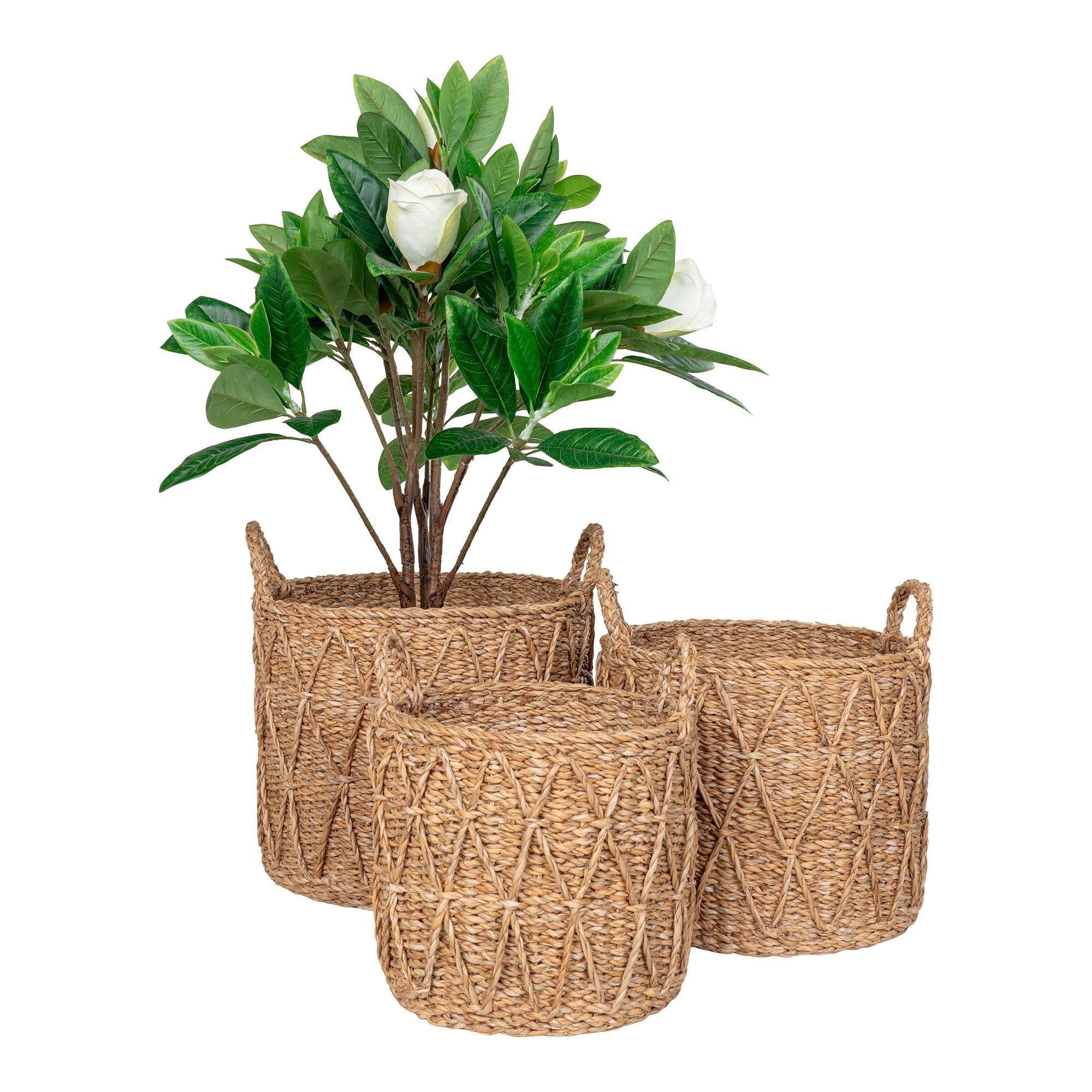 Krabi Baskets