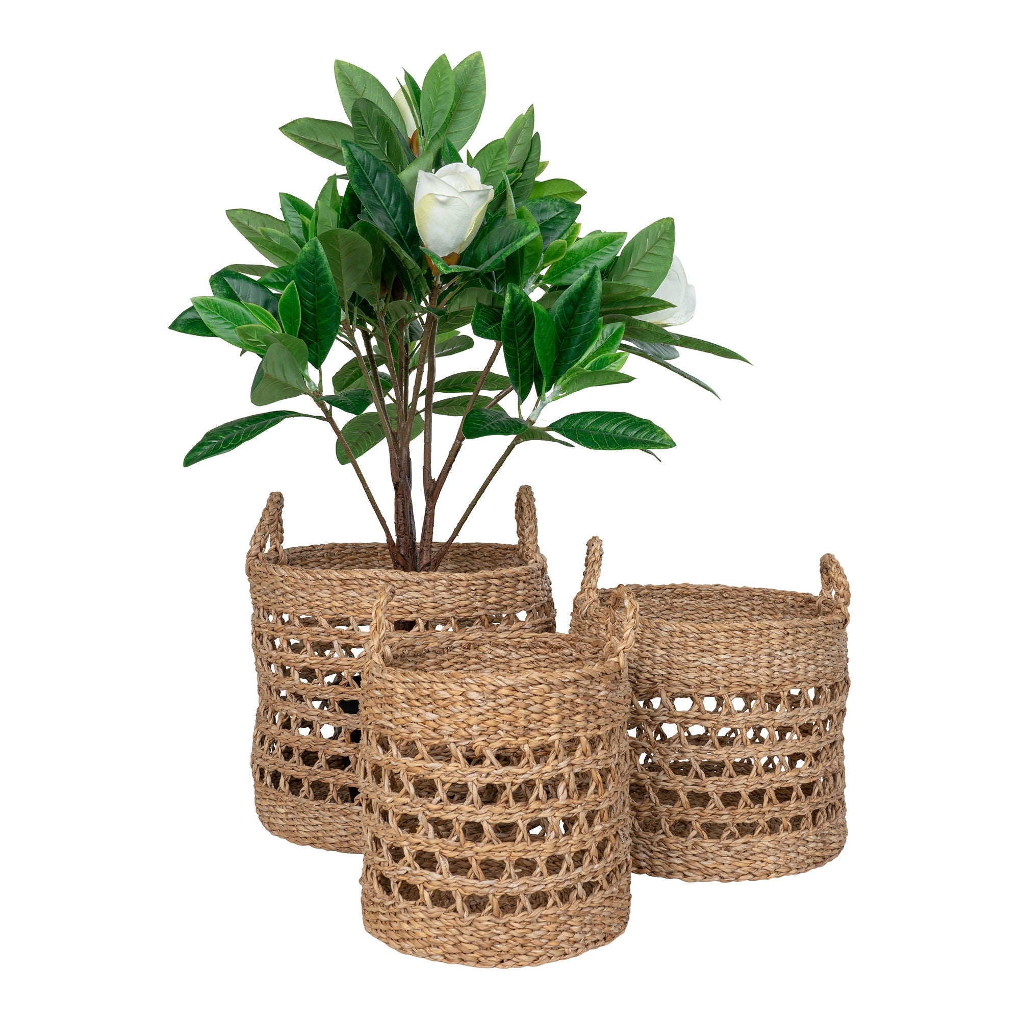 Balok Baskets