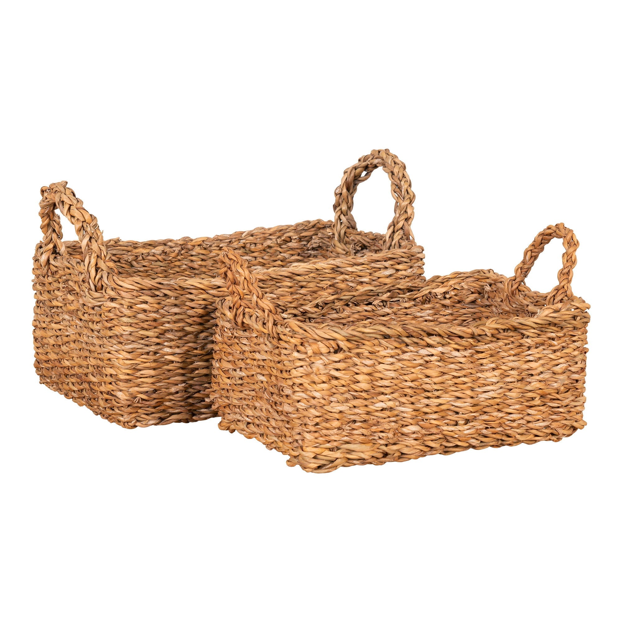 Morella Baskets
