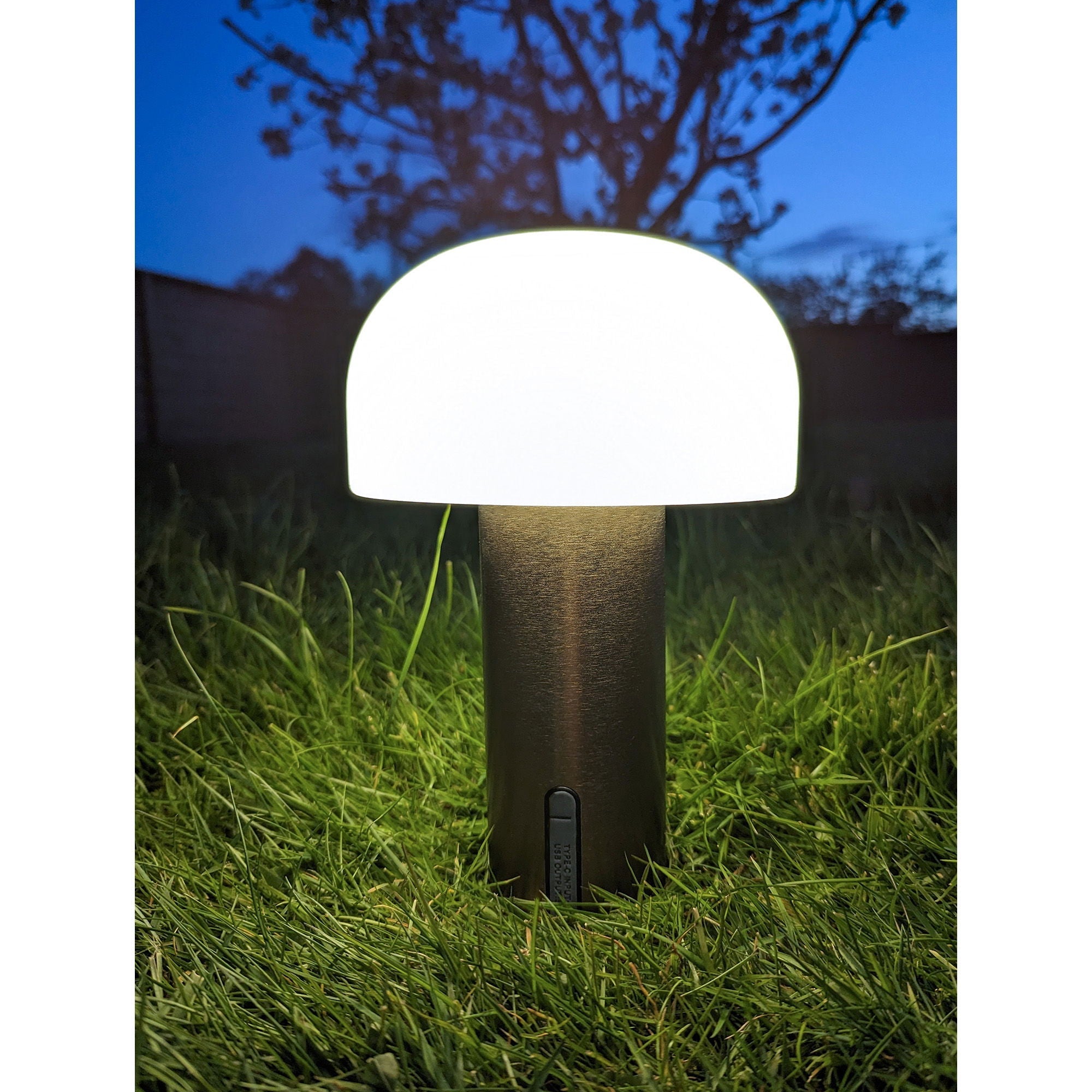 Soham LED Lamp
