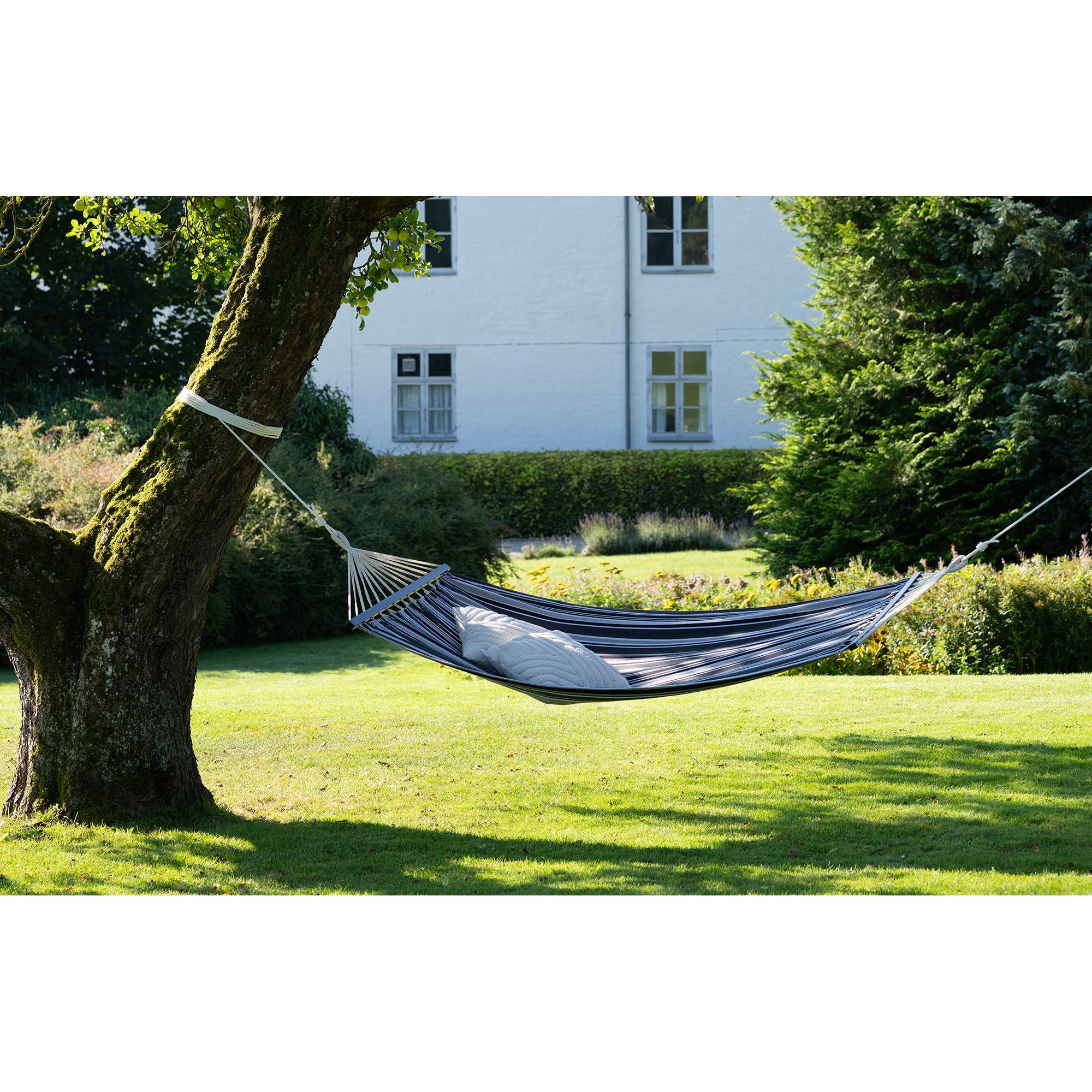 Lamia Hammock